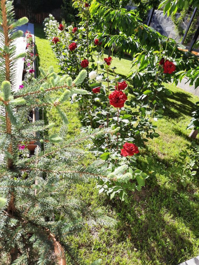 Cherry Garden Boutique Hotel Yeghegnadzor Екстер'єр фото